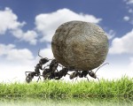 #096: Lessons From An Ant [Podcast]